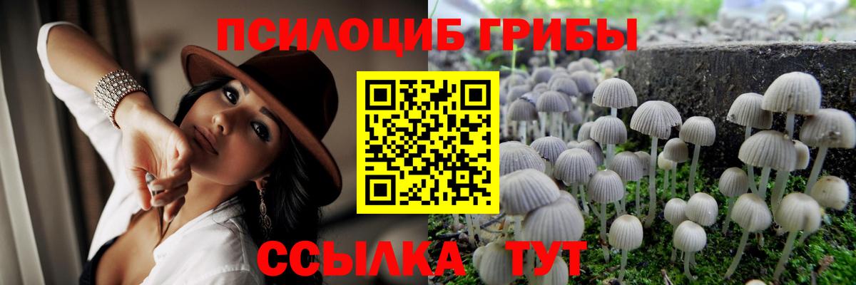 Нижнеудинск  Галлюциногенные грибы GOLDEN TEACHER  Псилоцибиновые грибы MAGIC MUSHROOMS  Вход с VPN 